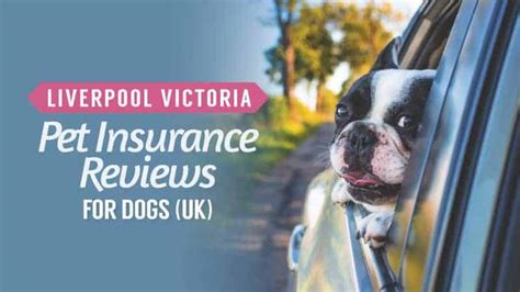 lv pet insurance review|liverpool victoria pet insurance reviews.